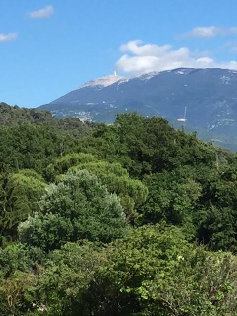 Villa Les Granges Vaison Saint-Marcellin-lès-Vaison エクステリア 写真